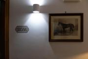 Top Scurcola Marsicana
