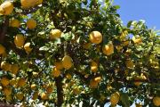 Top Anacapri