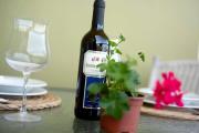Top Icod de los Vinos