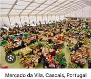 Top Cascais Top Cascais