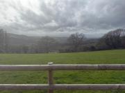 Top Trelleck