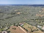 Top Santanyi