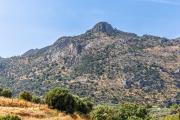 Top Villanueva del Rosario