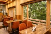 Top Solan