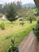 Top Las Rozas