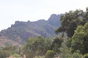 Top Roquebrune-sur Argens