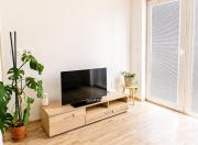 Family Comfort Apartment