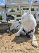 Appartament La Plage