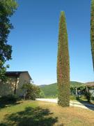 Top Anghiari