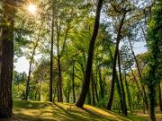 Top Le Touquet-Paris-Plage Top Le Touquet-Paris-Plage