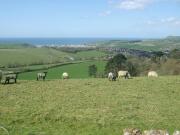 Top Bridport
