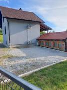 Top Zlatar