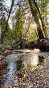 Top North Fork