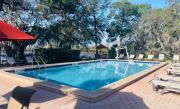 Top Orlando