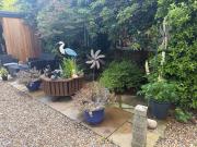Top Crawley