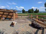 Top Kami-furano