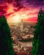 Top Verona