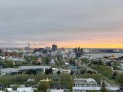 Best View of Reykjavik and Solar Eclipse FREE Parking