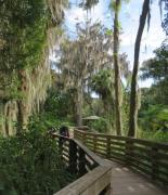 Top Mount Dora Top Mount Dora