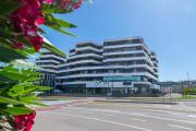 Top Koper