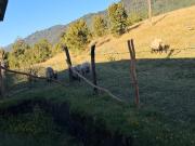 Top Cochamó