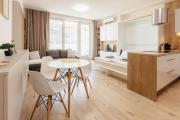 Central Studio Sancova Premier Suite