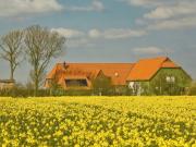 Top Nordstrand