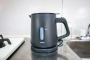 RZ301Rosetta Sancha 301