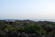 Top Pantelleria