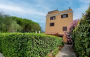 Top Montescudaio