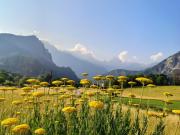 Top Valle di Cadore
