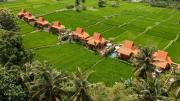 Top Ubud