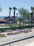Top Didim