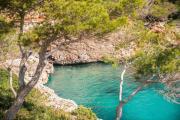 Top Cala d´Or