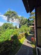 Top Ubud