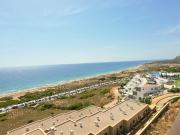 Top Elche Top Elche