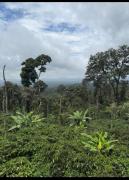 Top Madikeri