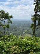 Top Madikeri