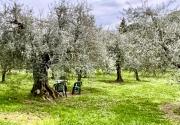 Top Gioiella