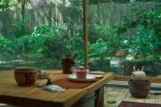 Top Jingdezhen