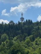 Top Krynica-Zdrój
