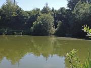 Top Harleston