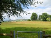 Top Kington