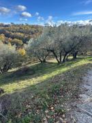 Top Poggio San Lorenzo