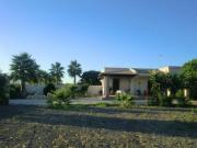 Top Marsala