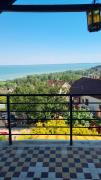 Top Balatonalmádi