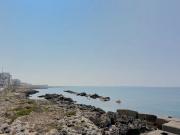 Top Gallipoli