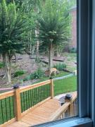 Top Braselton