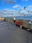 Top Gdynia