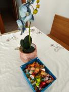 Top Besenello